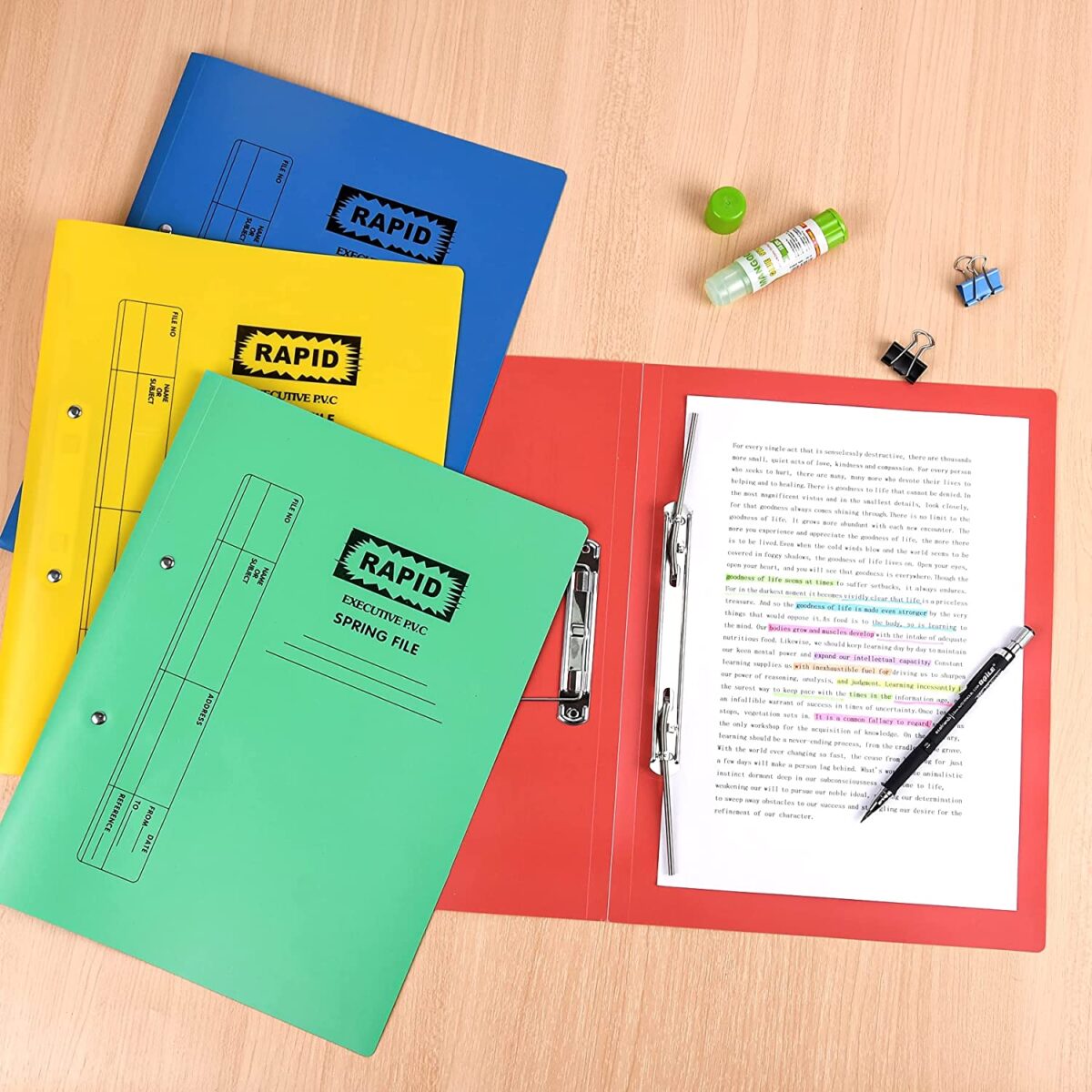 Weibo A4 File Folder with 60 Clear Pockets (5)